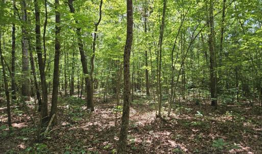 Photo #22 of James Anderson Highway, Gladstone, VA 100.0 acres