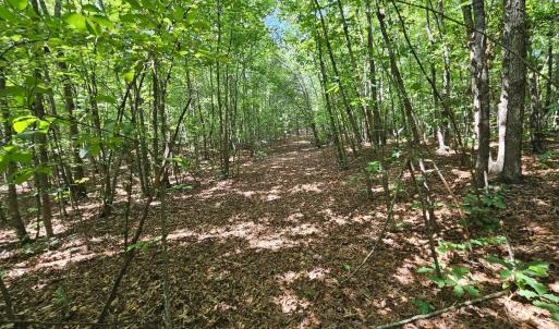 Photo #42 of James Anderson Highway, Gladstone, VA 100.0 acres