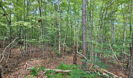 Photo #5 of James Anderson Highway, Gladstone, VA 100.0 acres