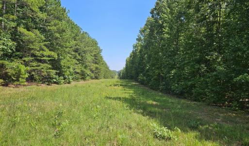 Photo #2 of James Anderson Highway, Gladstone, VA 100.0 acres
