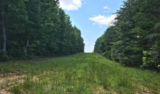 Photo #8 of James Anderson Highway, Gladstone, VA 100.0 acres