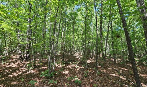 Photo #39 of James Anderson Highway, Gladstone, VA 100.0 acres