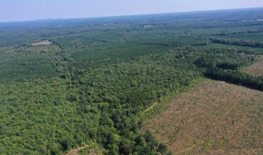 Photo #67 of James Anderson Highway, Gladstone, VA 100.0 acres