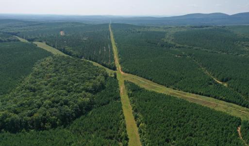 Photo #50 of James Anderson Highway, Gladstone, VA 100.0 acres