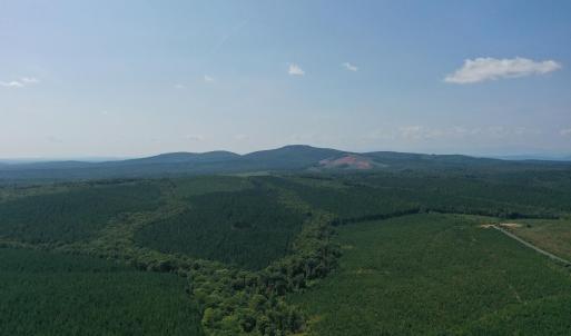 Photo #53 of James Anderson Highway, Gladstone, VA 100.0 acres