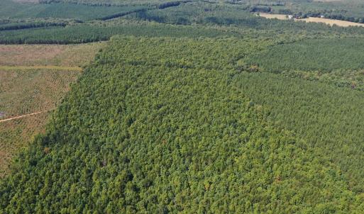 Photo #65 of James Anderson Highway, Gladstone, VA 100.0 acres