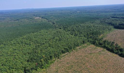 Photo #51 of James Anderson Highway, Gladstone, VA 100.0 acres