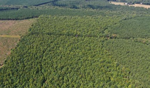 Photo #64 of James Anderson Highway, Gladstone, VA 100.0 acres