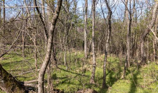 Photo #15 of Goggin Ford Road, Bedford, VA 23.9 acres