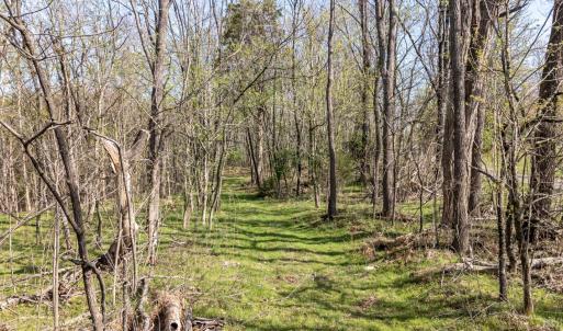 Photo #14 of Goggin Ford Road, Bedford, VA 23.9 acres