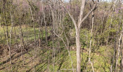 Photo #17 of Goggin Ford Road, Bedford, VA 23.9 acres