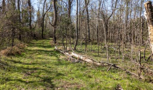 Photo #16 of Goggin Ford Road, Bedford, VA 23.9 acres