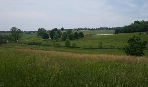 Photo #4 of 2205 New London Road, Forest, VA 360.0 acres