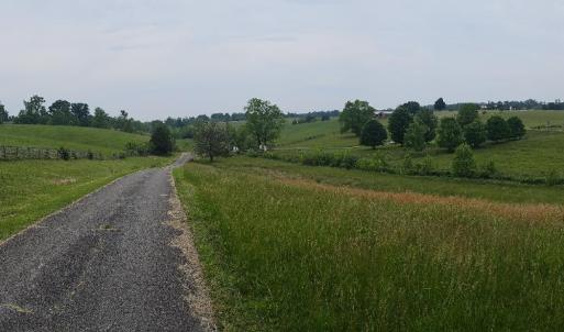 Photo #3 of 2205 New London Road, Forest, VA 360.0 acres