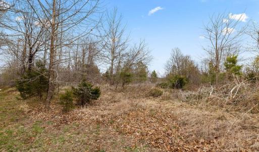 Photo #14 of Rocky Creek Ln Lot 12, Amherst, VA 10.3 acres