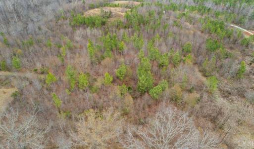 Photo #4 of Rocky Creek Ln Lot 12, Amherst, VA 10.3 acres