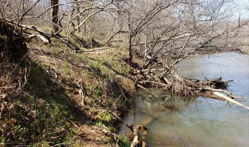 Photo #21 of Rocky Creek Ln Lot 12, Amherst, VA 10.3 acres