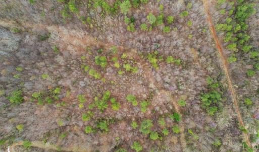 Photo #5 of Rocky Creek Ln Lot 12, Amherst, VA 10.3 acres