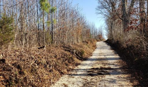Photo #13 of Rocky Creek Ln Lot 12, Amherst, VA 10.3 acres