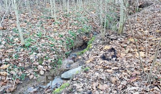 Photo #22 of Rocky Creek Ln Lot 12, Amherst, VA 10.3 acres