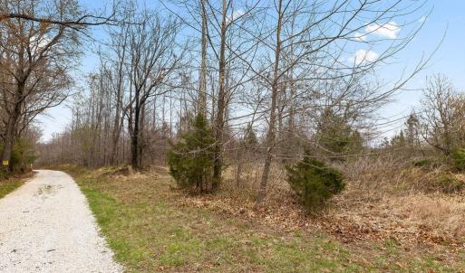Photo #10 of Rocky Creek Ln Lot 12, Amherst, VA 10.3 acres