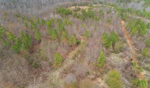 Photo #12 of Rocky Creek Ln Lot 12, Amherst, VA 10.3 acres