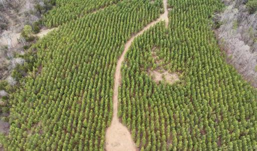 Photo #9 of Old Courthouse Road, Appomattox, VA 39.5 acres