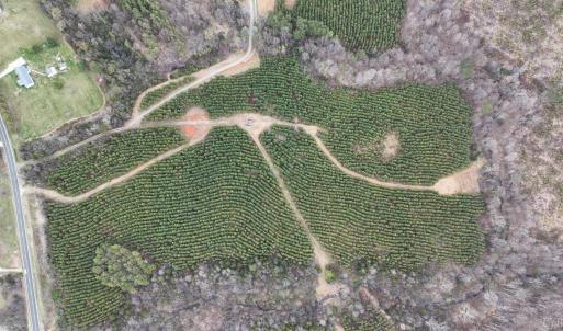 Photo #6 of Old Courthouse Road, Appomattox, VA 39.5 acres