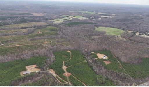 Photo #1 of Old Courthouse Road, Appomattox, VA 39.5 acres