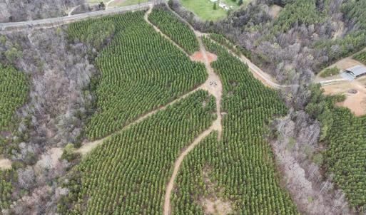 Photo #5 of Old Courthouse Road, Appomattox, VA 39.5 acres