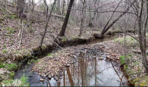 Photo #20 of Old Courthouse Road, Appomattox, VA 39.5 acres