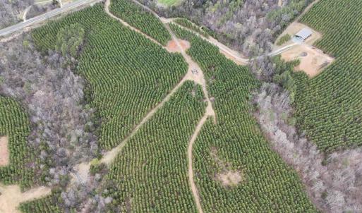 Photo #4 of Old Courthouse Road, Appomattox, VA 39.5 acres