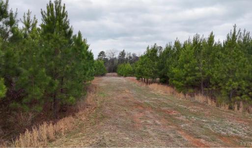 Photo #16 of Old Courthouse Road, Appomattox, VA 39.5 acres