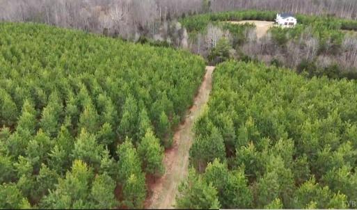 Photo #12 of Old Courthouse Road, Appomattox, VA 39.5 acres