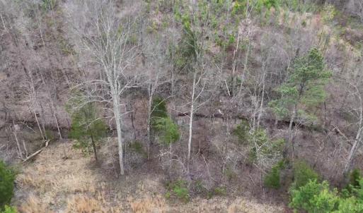 Photo #14 of Old Courthouse Road, Appomattox, VA 39.5 acres