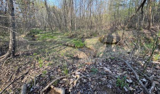 Photo #41 of Old Courthouse Road, Appomattox, VA 39.5 acres