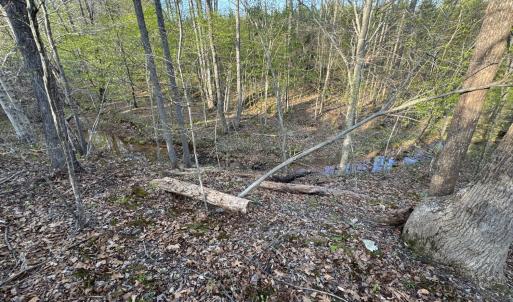 Photo #42 of Old Courthouse Road, Appomattox, VA 39.5 acres