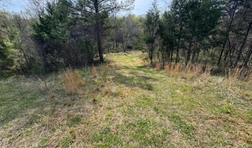 Photo #21 of Old Courthouse Road, Appomattox, VA 39.5 acres