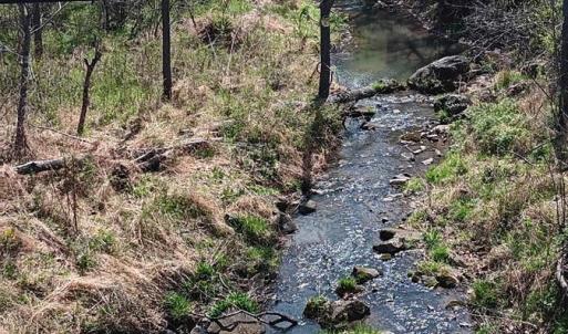 Photo #47 of Old Courthouse Road, Appomattox, VA 39.5 acres