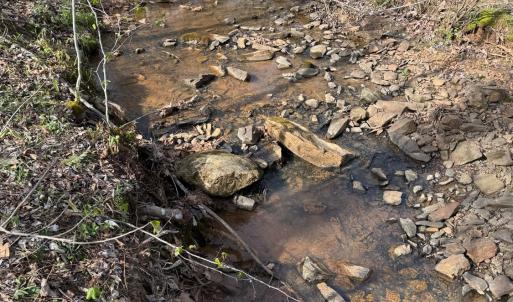 Photo #34 of Old Courthouse Road, Appomattox, VA 39.5 acres