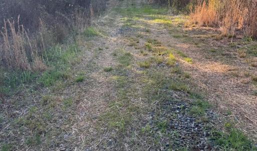 Photo #23 of Old Courthouse Road, Appomattox, VA 39.5 acres