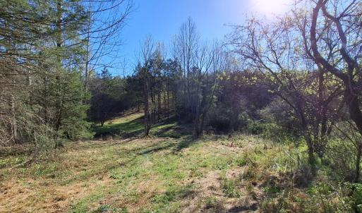 Photo #50 of Old Courthouse Road, Appomattox, VA 39.5 acres