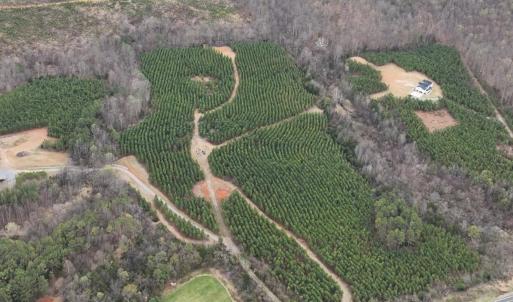 Photo #4 of Old Courthouse Road, Appomattox, VA 39.5 acres