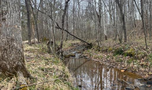 Photo #26 of Old Courthouse Road, Appomattox, VA 39.5 acres