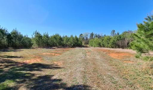 Photo #51 of Old Courthouse Road, Appomattox, VA 39.5 acres