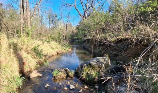 Photo #17 of Old Courthouse Road, Appomattox, VA 39.5 acres