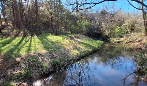 Photo #19 of Old Courthouse Road, Appomattox, VA 39.5 acres