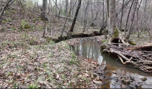 Photo #27 of Old Courthouse Road, Appomattox, VA 39.5 acres