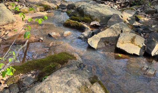 Photo #39 of Old Courthouse Road, Appomattox, VA 39.5 acres