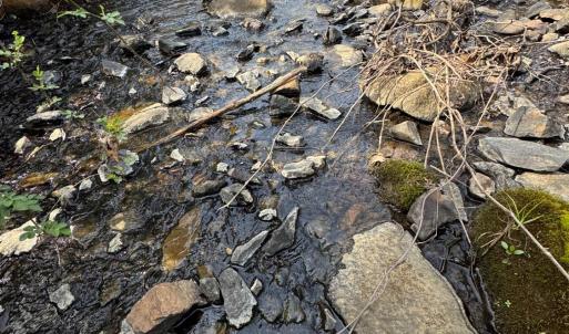 Photo #33 of Old Courthouse Road, Appomattox, VA 39.5 acres